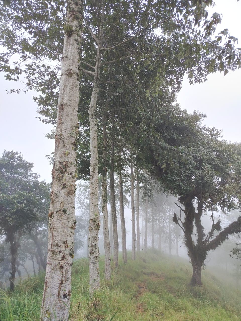 BioDesarrollo 1
