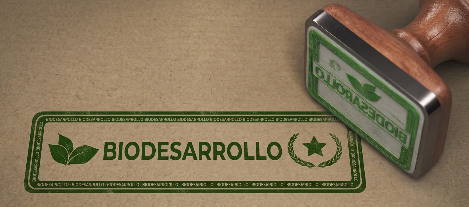 Capacitación BioDesarrollo