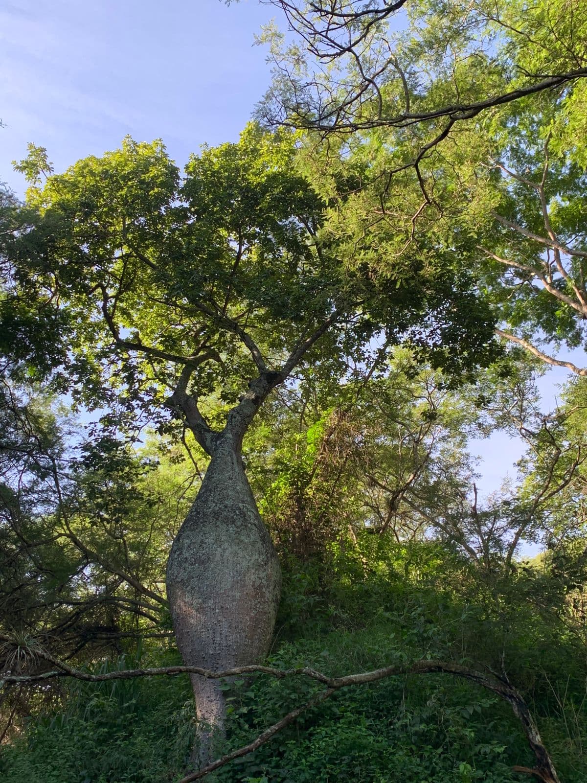 Conservación de ecosistemas